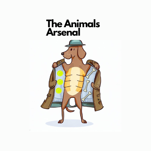 The Animals Arsenal